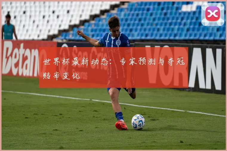 世界杯最新动态：专家预测与夺冠赔率变化