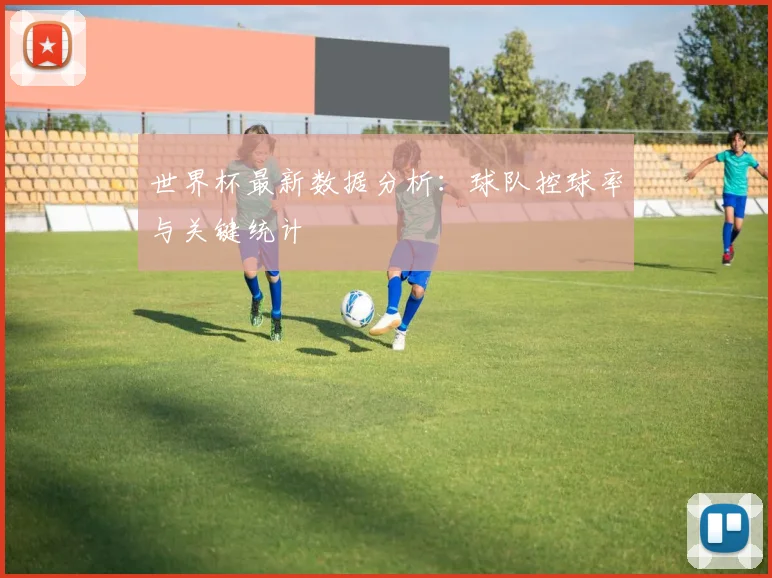 世界杯最新数据分析：球队控球率与关键统计