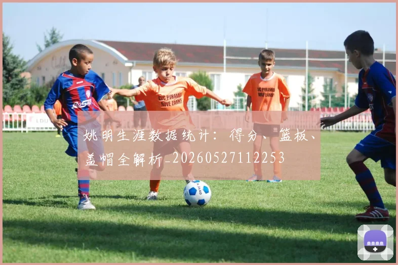 姚明生涯数据统计：得分、篮板、盖帽全解析_20260527112253