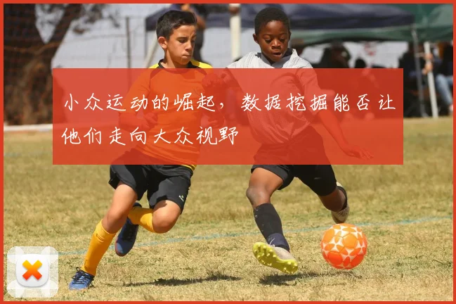 小众运动的崛起，数据挖掘能否让他们走向大众视野