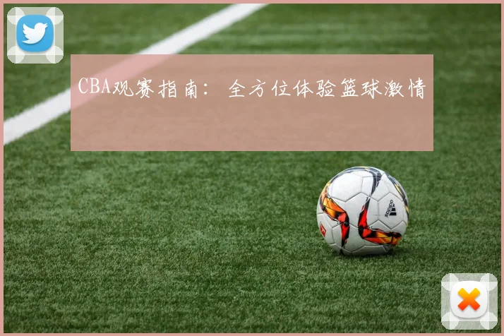 CBA观赛指南:全方位体验篮球激情