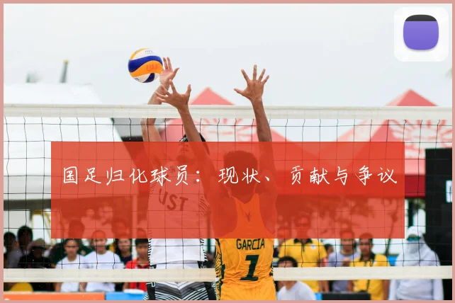 国足归化球员：现状、贡献与争议