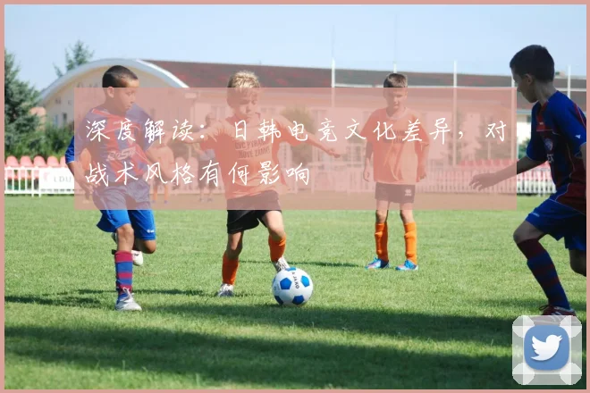 深度解读：日韩电竞文化差异，对战术风格有何影响