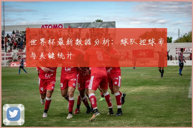 世界杯最新数据分析：球队控球率与关键统计